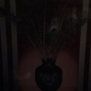 Meet your Posher, Cesar